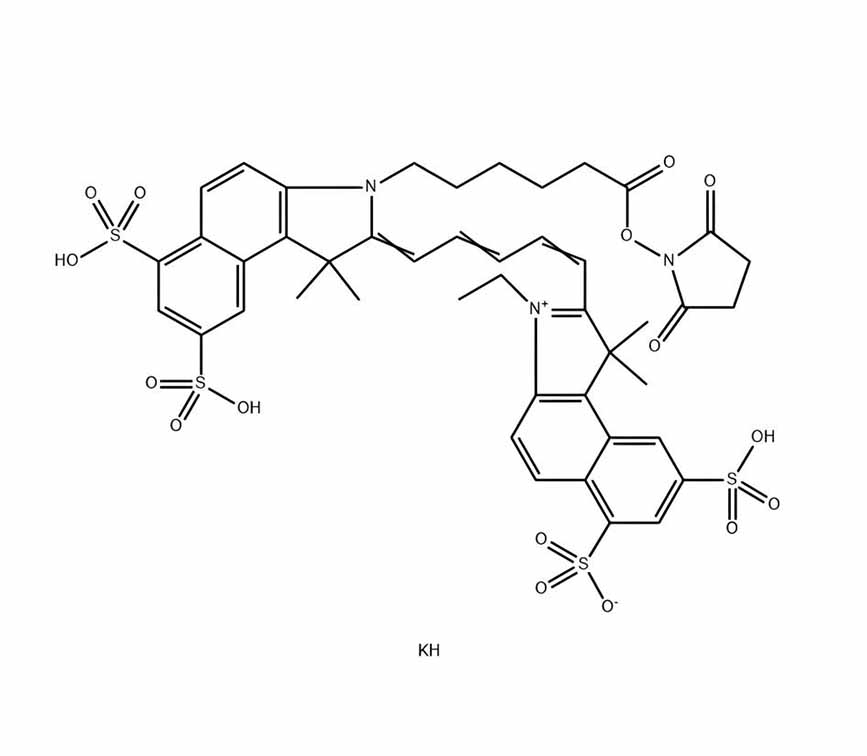 Cy5.5 N-羟基琥珀酰亚胺酯 CAS#:910482-46-1