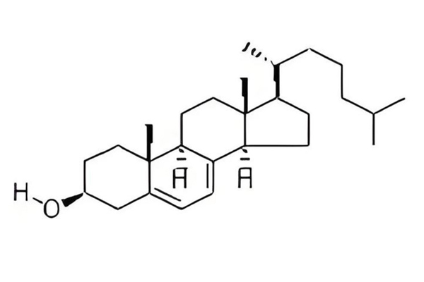 植物源7-脱氢胆固醇，开启维生素D3合成新纪元