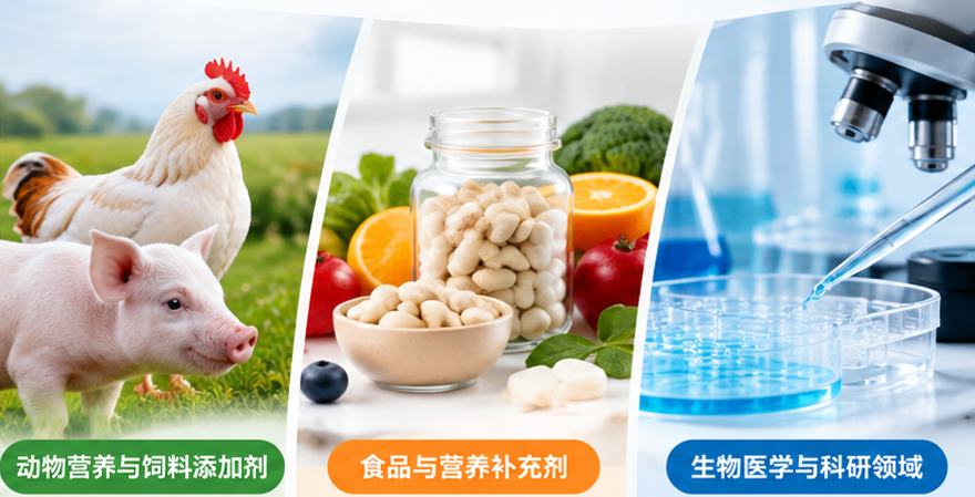 L - 硒代蛋氨酸应用-钰腾新材料